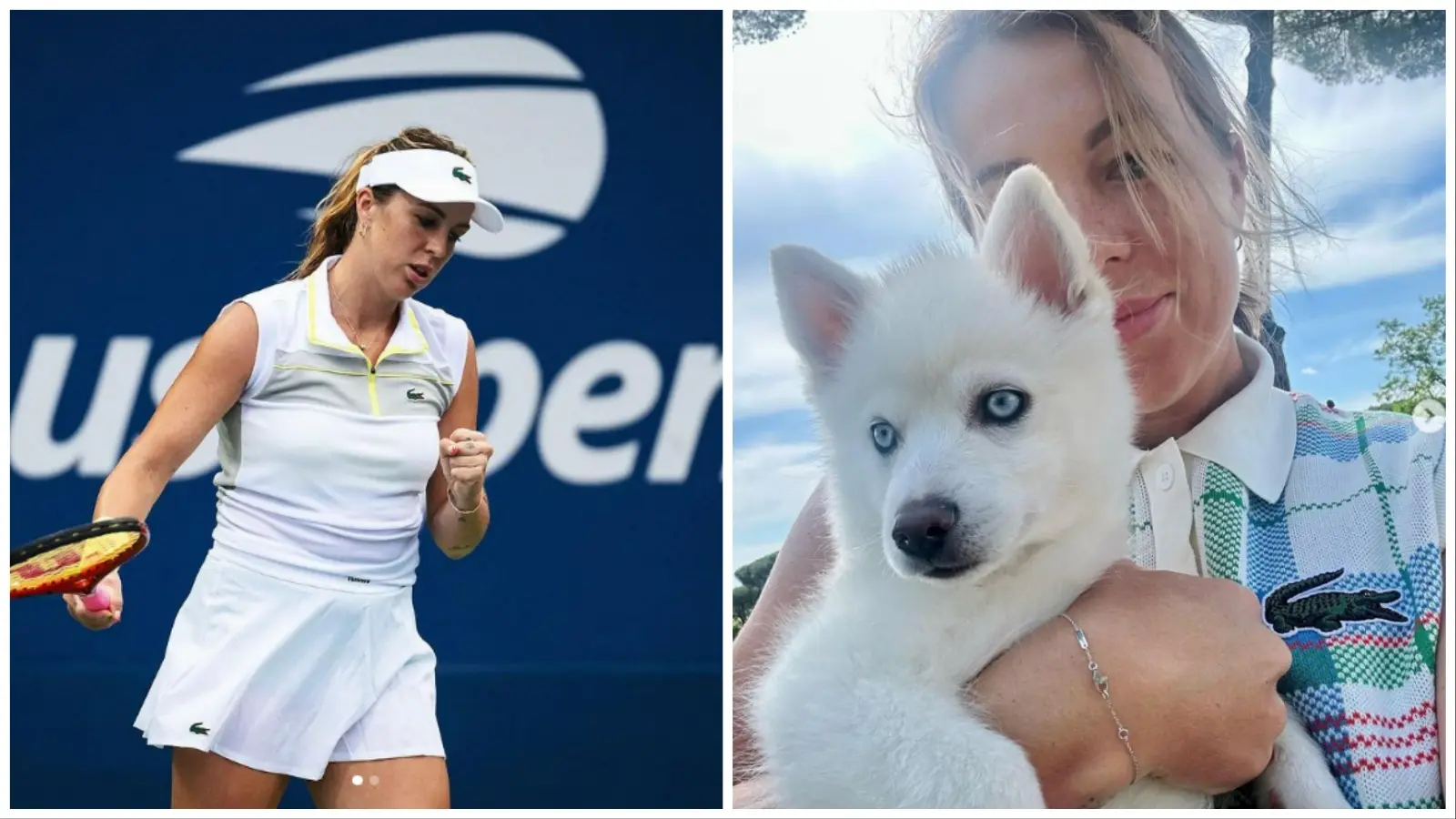 Who is Anastasia Pavlyuchenkova Boyfriend or Husband? Is she Single or